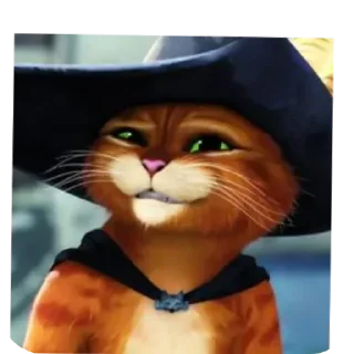 Sticker from стикеры с котом в сапогах!😻