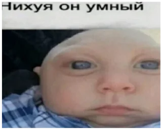 🐓 emoji Не меняю соль на жижу Telegram sticker 19 of 42