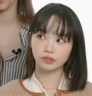 Sticker from KPOP MEMES 3