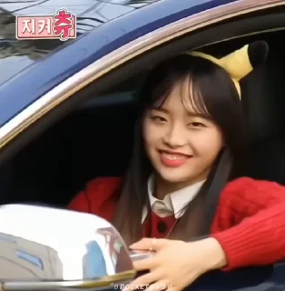 Sticker from KPOP MEMES 3