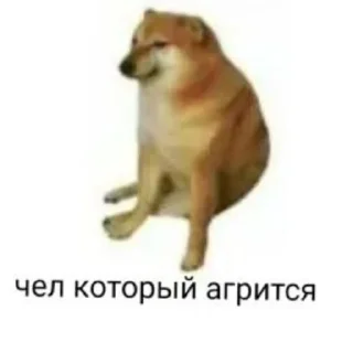 🧸 emoji CyXyPuK Пон @TgEmodziBot Telegram sticker 3 of 18