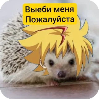 🐶 emoji Фри под дозой ➡️ @Ctikerubot Telegram sticker 10 of 17