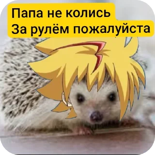 🐶 emoji Фри под дозой ➡️ @Ctikerubot Telegram sticker 11 of 17