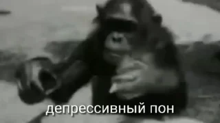Sticker from Пон