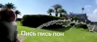 Sticker from Пон
