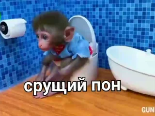 Sticker from Пон