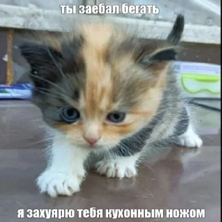 Sticker from пидоры