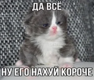 Sticker from пидоры