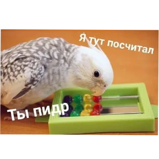 Sticker from МемНаЯ_пАпКа