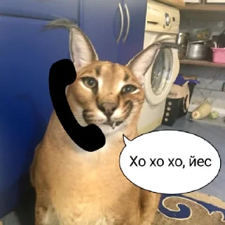 Sticker from 🥟Шлепалия🥟 (от PLF)