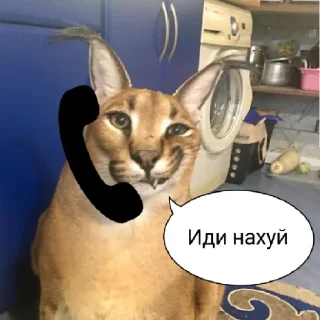Sticker from 🥟Шлепалия🥟 (от PLF)