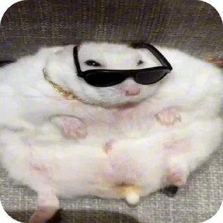 Sticker from Стикер пак от живого