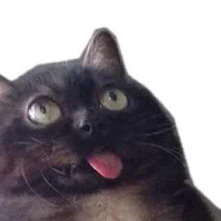😝 emoji Чё стикер? Telegram sticker 8 of 120