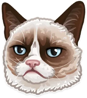 Чё стикер? sticker 3