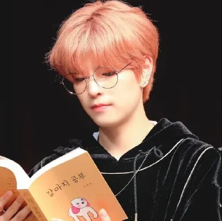 📙 emoji Seungmin in the building Telegram sticker 11 of 38