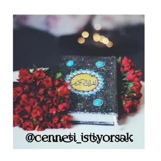 Sticker from Рай🌼