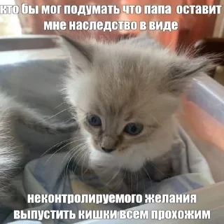 📑 emoji Сосо? Telegram sticker 9 of 58