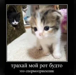 👍 emoji Сосо? Telegram sticker 16 of 58