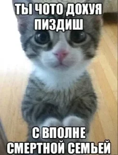 💗 emoji Сосо? Telegram sticker 5 of 58