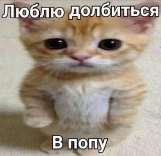 💗 emoji Сосо? Telegram sticker 14 of 58