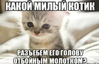 🔨 emoji Сосо? Telegram sticker 6 of 58