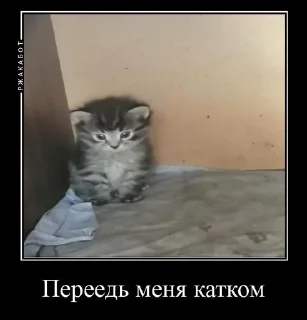 👍 emoji Сосо? Telegram sticker 15 of 58