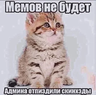 😘 emoji Сосо? Telegram sticker 21 of 58