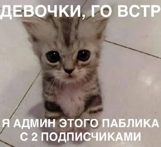 🧷 emoji Сосо? Telegram sticker 7 of 58