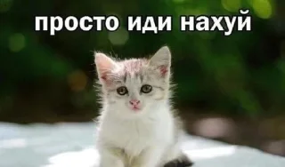 😇 emoji Сосо? Telegram sticker 19 of 58