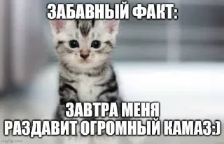 😁 emoji Сосо? Telegram sticker 18 of 58