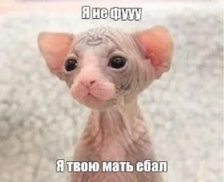 😀 emoji Сосо? Telegram sticker 17 of 58
