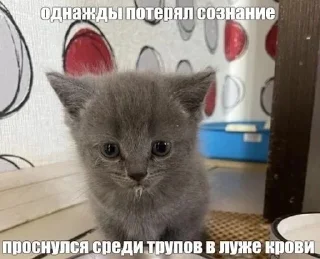 😇 emoji Сосо? Telegram sticker 20 of 58