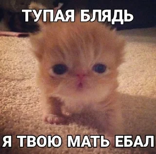 📚 emoji Сосо? Telegram sticker 8 of 58