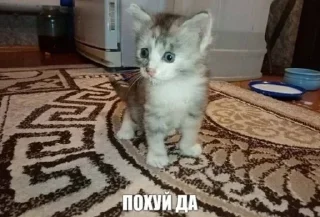 👎 emoji Сосо? Telegram sticker 11 of 58