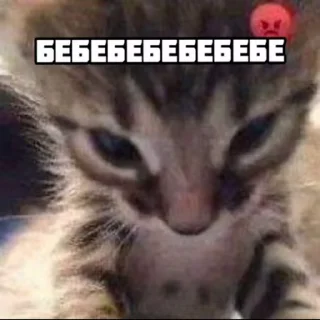 😡 emoji Кал на каждый случай :: @QStickBot Telegram sticker 16 of 120