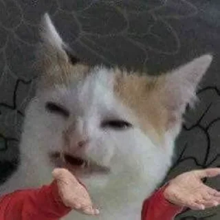 Sticker from Мемы с котами