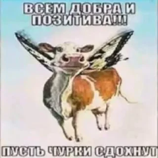 Sticker from Суета
