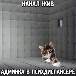 Sticker from сос мыслом by мама слизь🦟