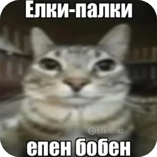 Sticker from епен бобен