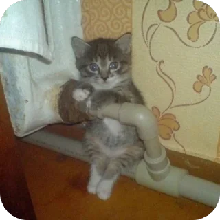 🫥 emoji епен бобен 2 Telegram sticker 23 of 120