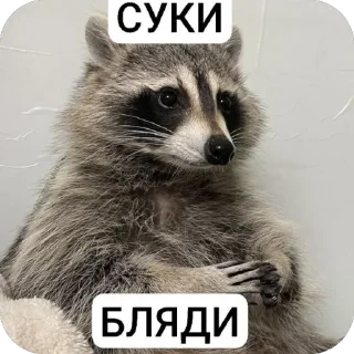 🫥 emoji епен бобен 2 Telegram sticker 22 of 120