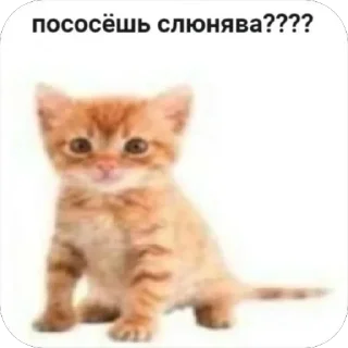 Sticker from епен бобен