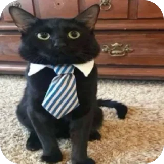 🫥 emoji епен бобен 2 Telegram sticker 16 of 120