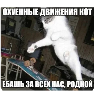 🫥 emoji епен бобен 2 Telegram sticker 19 of 120