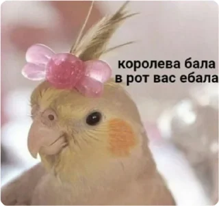 😁 emoji ЭТО МОЯ ЖИЗНЬ Telegram sticker 19 of 100