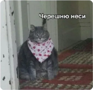 🤪 emoji ЭТО МОЯ ЖИЗНЬ Telegram sticker 1 of 100