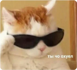 😎 emoji ЭТО МОЯ ЖИЗНЬ Telegram sticker 21 of 100