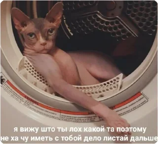 😎 emoji ЭТО МОЯ ЖИЗНЬ Telegram sticker 9 of 100