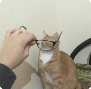 🤨 emoji ЭТО МОЯ ЖИЗНЬ Telegram sticker 6 of 100