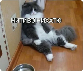 🤧 emoji ЭТО МОЯ ЖИЗНЬ Telegram sticker 17 of 100